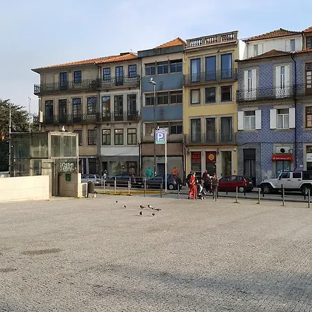 The Swallow House